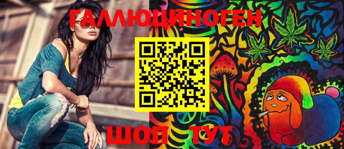 Псилоцибиновые грибы Psilocybe Армавир