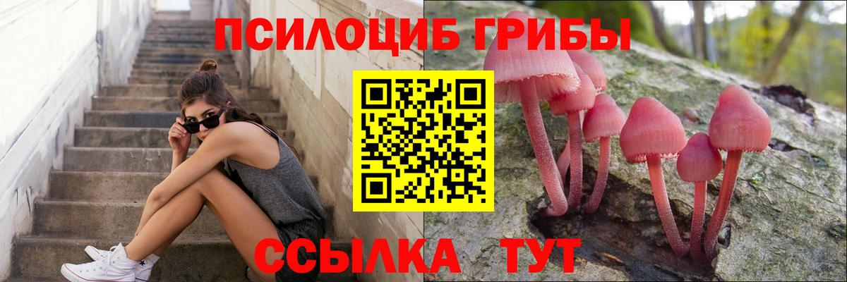 Галлюциногенные грибы Cubensis  Псилоцибиновые грибы мухоморы  Армавир  Вход с VPN 